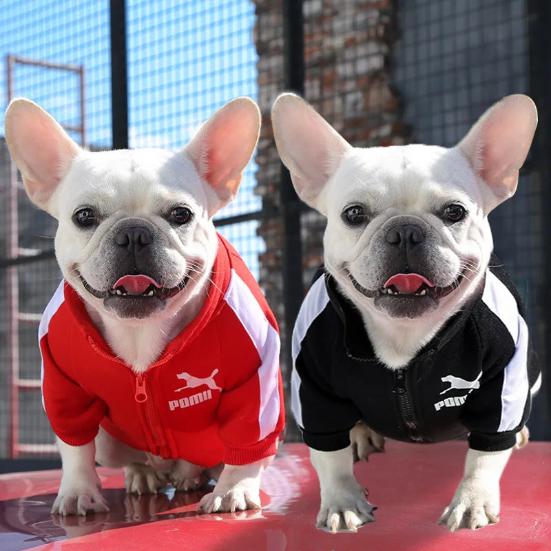 Adidas french bulldog hoodie clearance