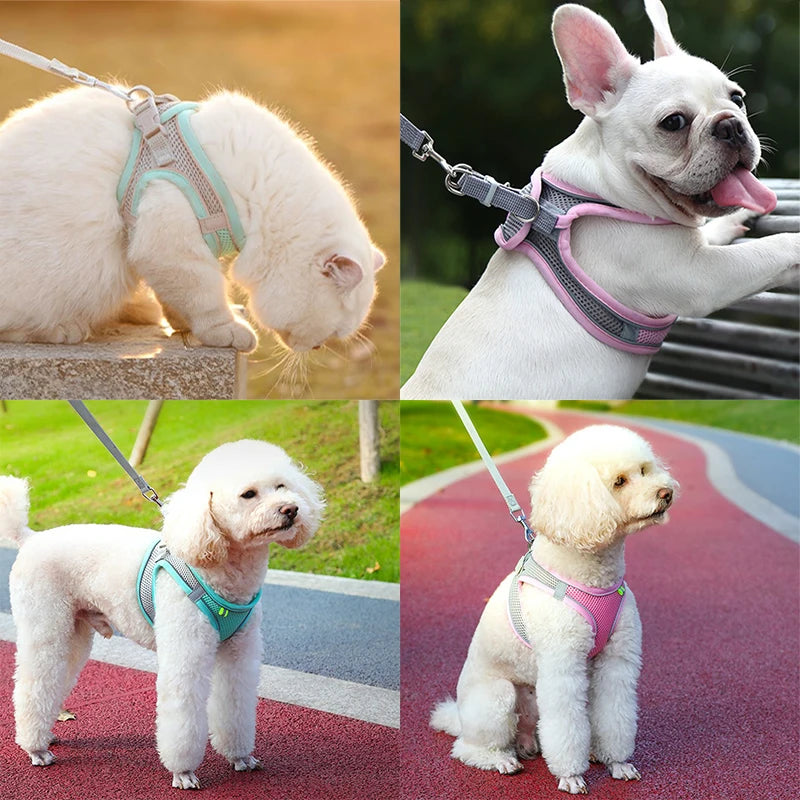 Cat Harness+Leash Set