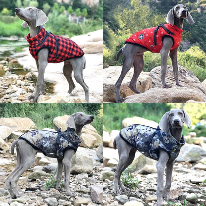 Large Pet Jacket With Harness