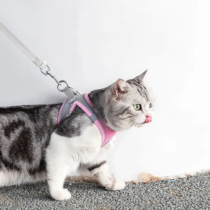 Cat Harness+Leash Set