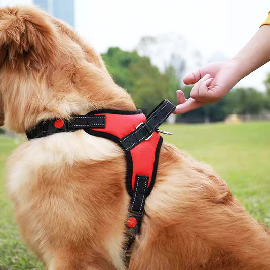 Adjustable Dog Harness