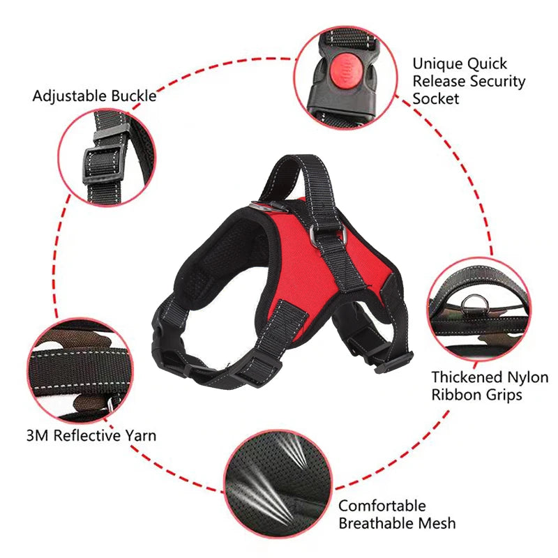 Adjustable Dog Harness