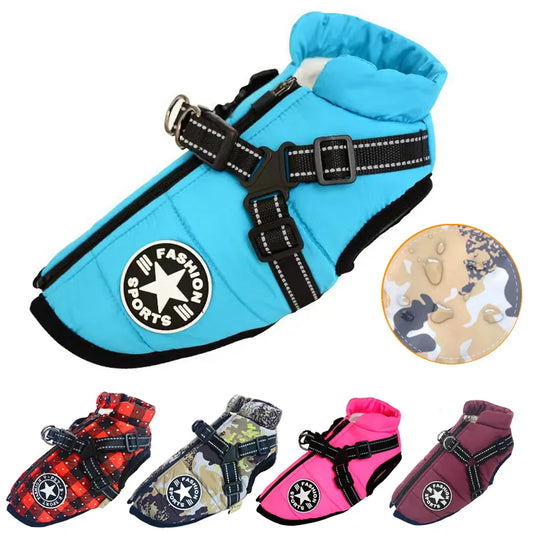 Large Pet Jacket With Harness