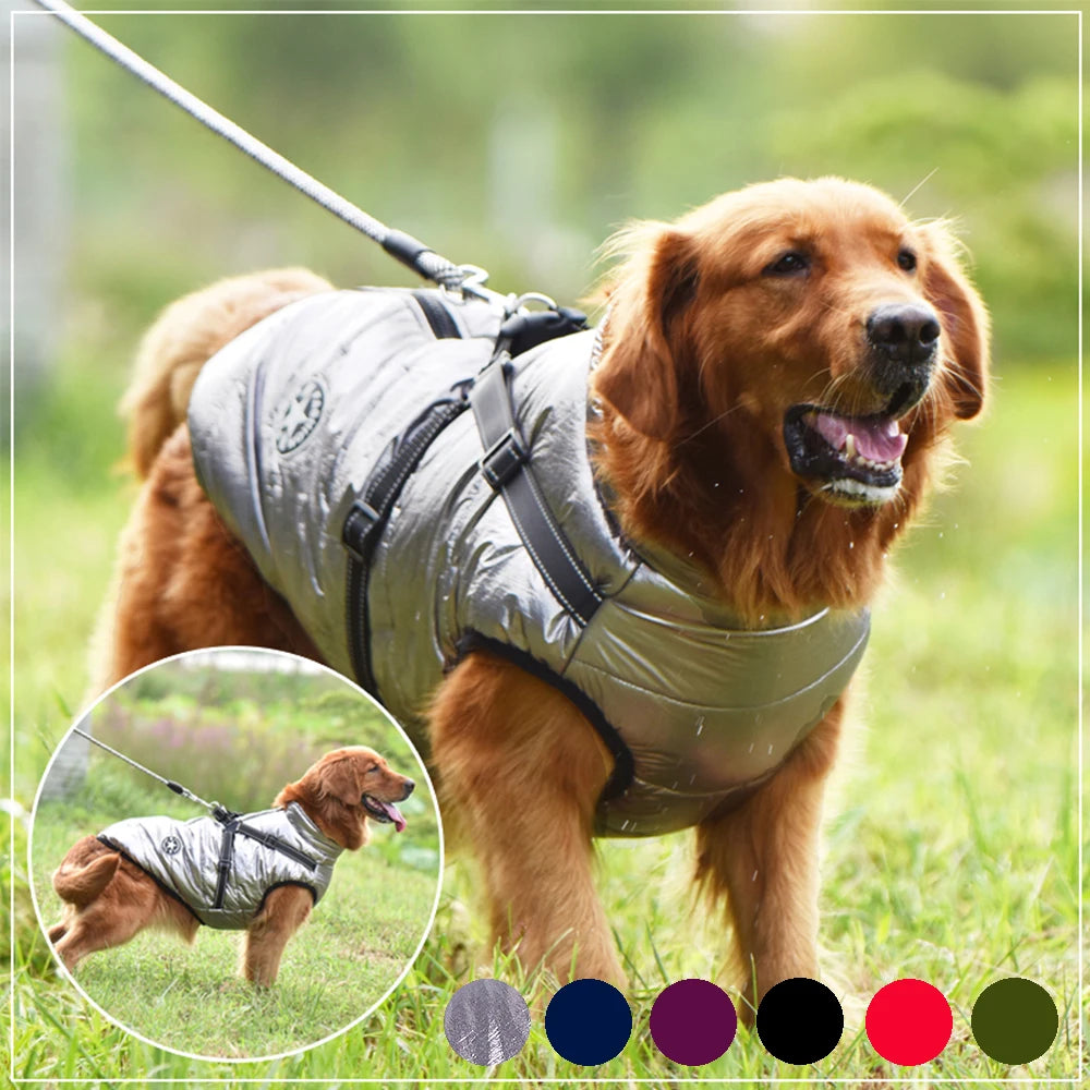 Large Pet Jacket With Harness